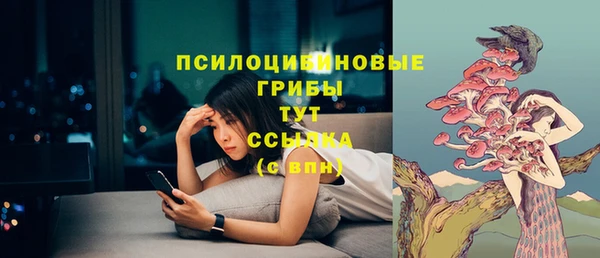 стафф Осинники