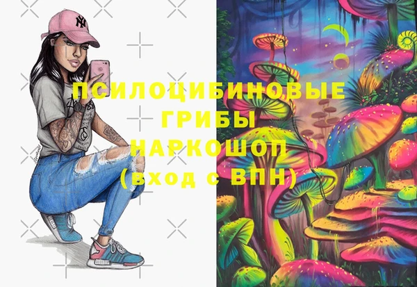 MESCALINE Няндома