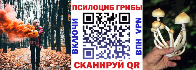 Псилоцибиновые грибы мицелий  площадка наркотические препараты  Соль-Илецк  даркнет сайт 