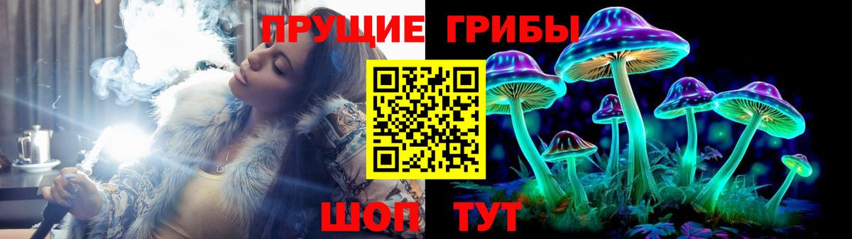 Псилоцибиновые грибы Psilocybe  Вход с VPN  Соль-Илецк 